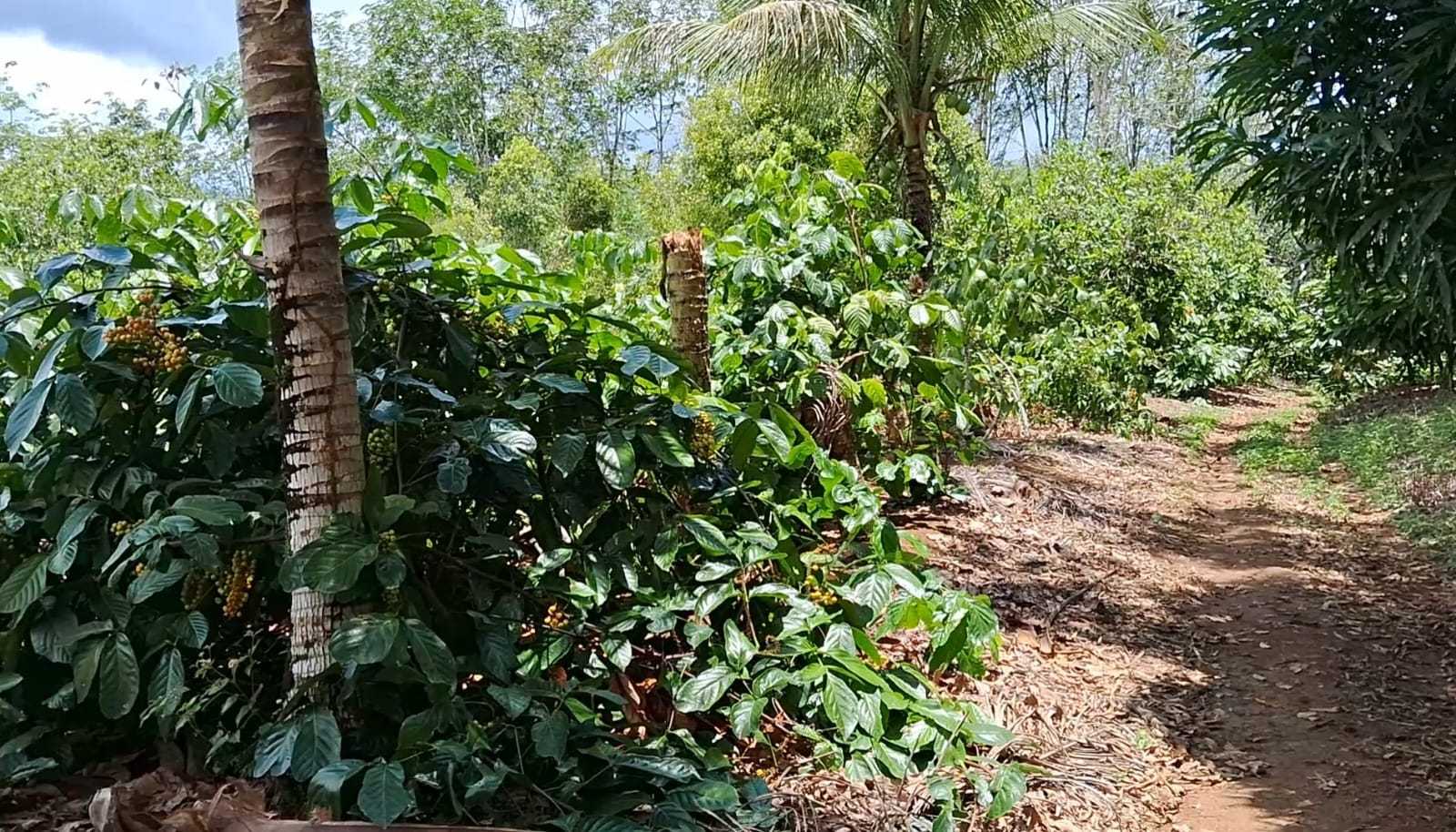 2207e22d-5696-4d4d-a911-f44a6e2e0bb1