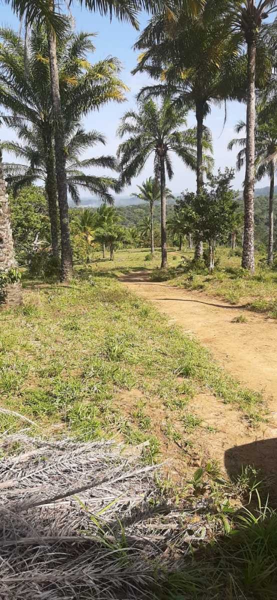 25157e71-c791-43bf-bb99-68a3f1ca5139