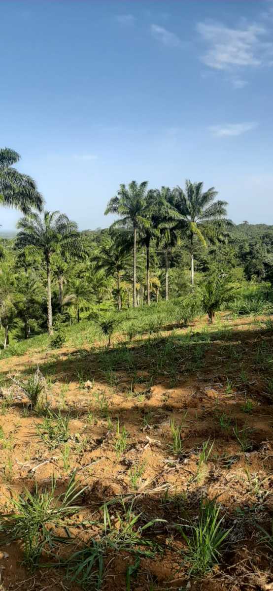 3635473e-bdca-410a-a7b2-8bb09373bfd3