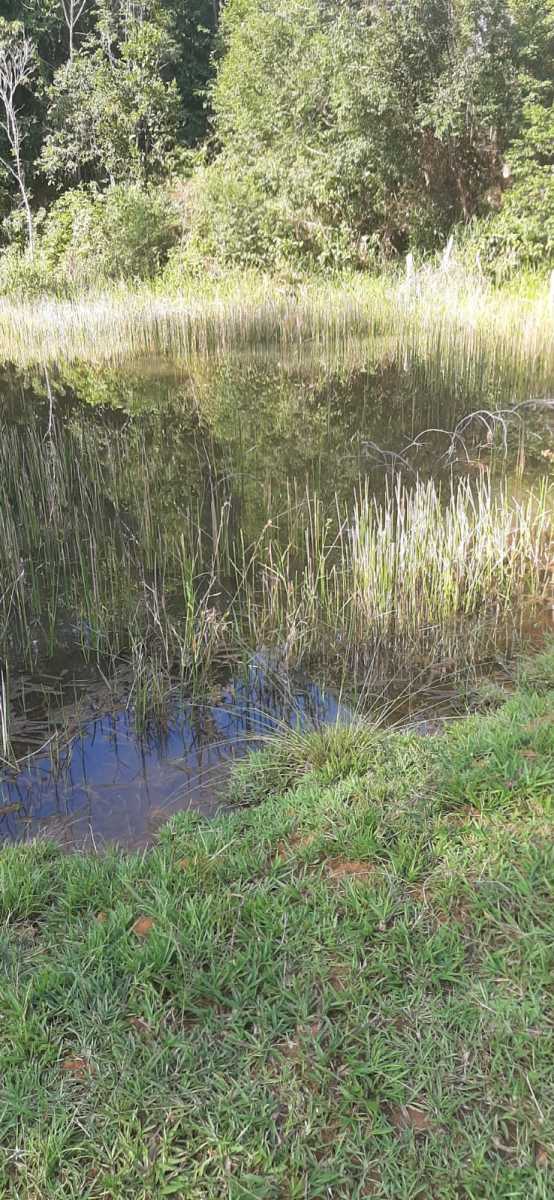 46d6120f-332b-4cea-ba17-746405d880c8