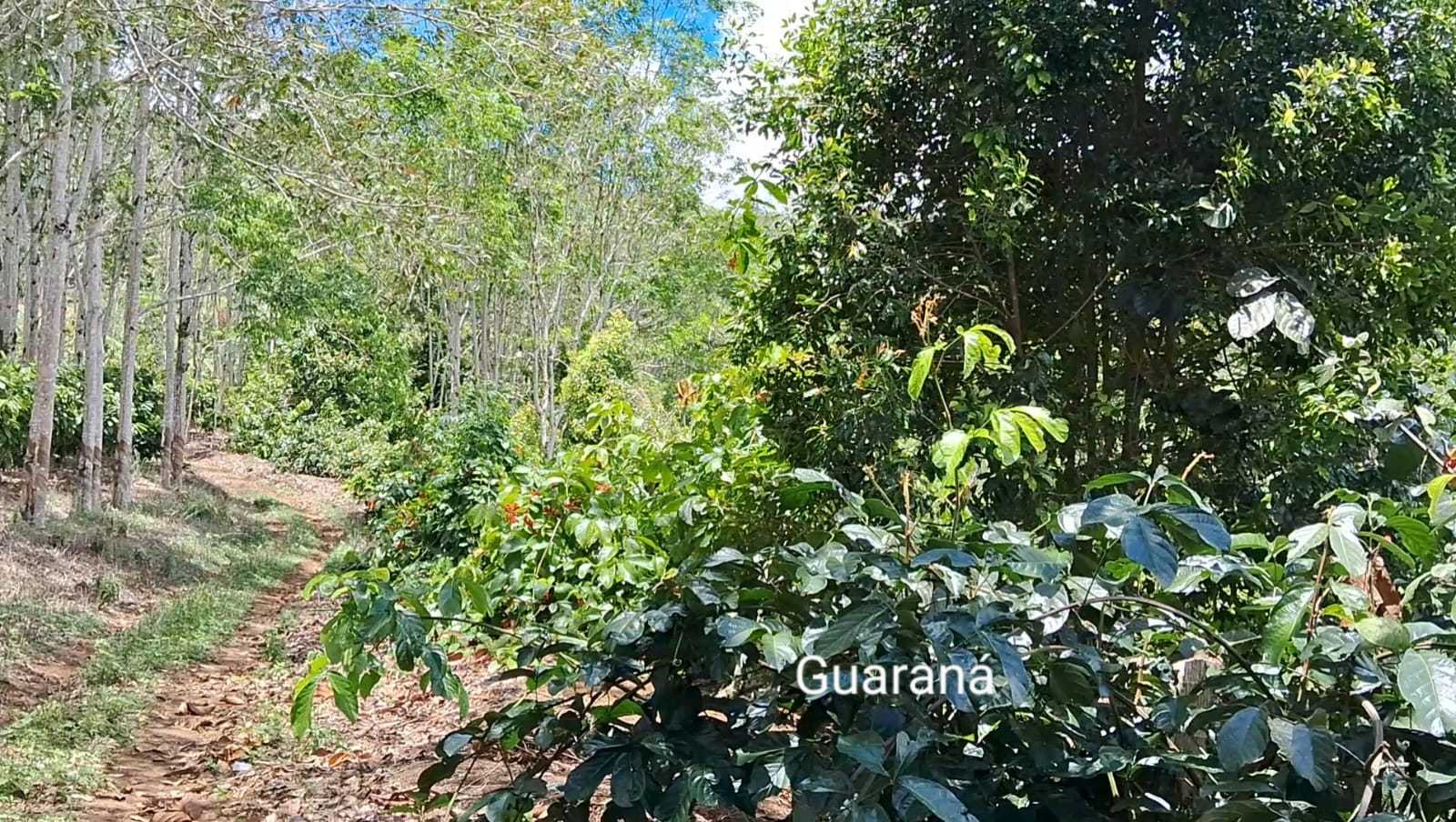 510351db-f7d2-49a4-be75-49e32ae1b348