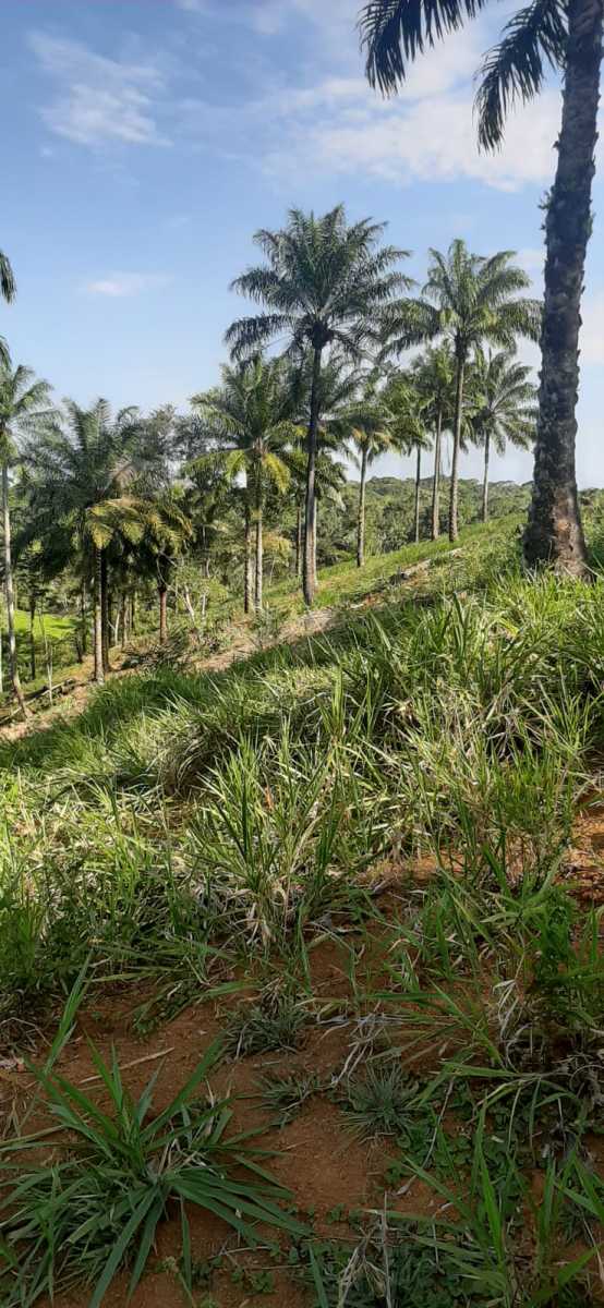 9d2460fa-82de-4294-866d-4ffac786fbe8