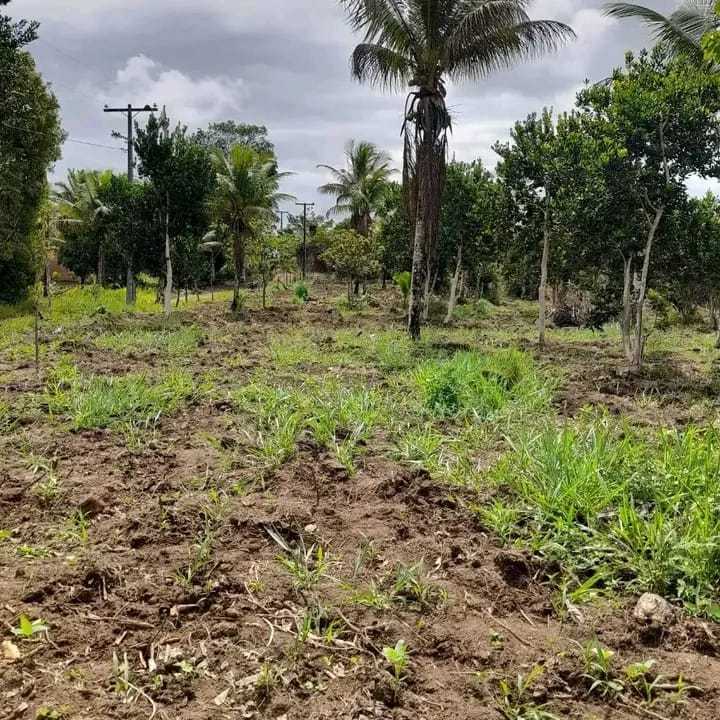 WhatsApp-Image-2023-12-28-at-16.08.45-1