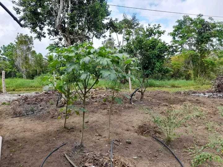 WhatsApp-Image-2023-12-28-at-16.08.45-3