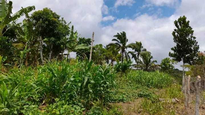 WhatsApp-Image-2023-12-28-at-16.08.45