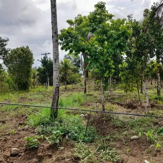 WhatsApp-Image-2023-12-28-at-16.08.46-2