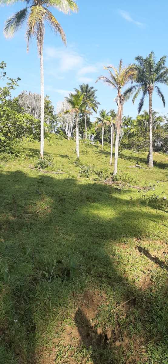 b81ea6ed-cbd8-43ee-8bcc-503df7c645a3