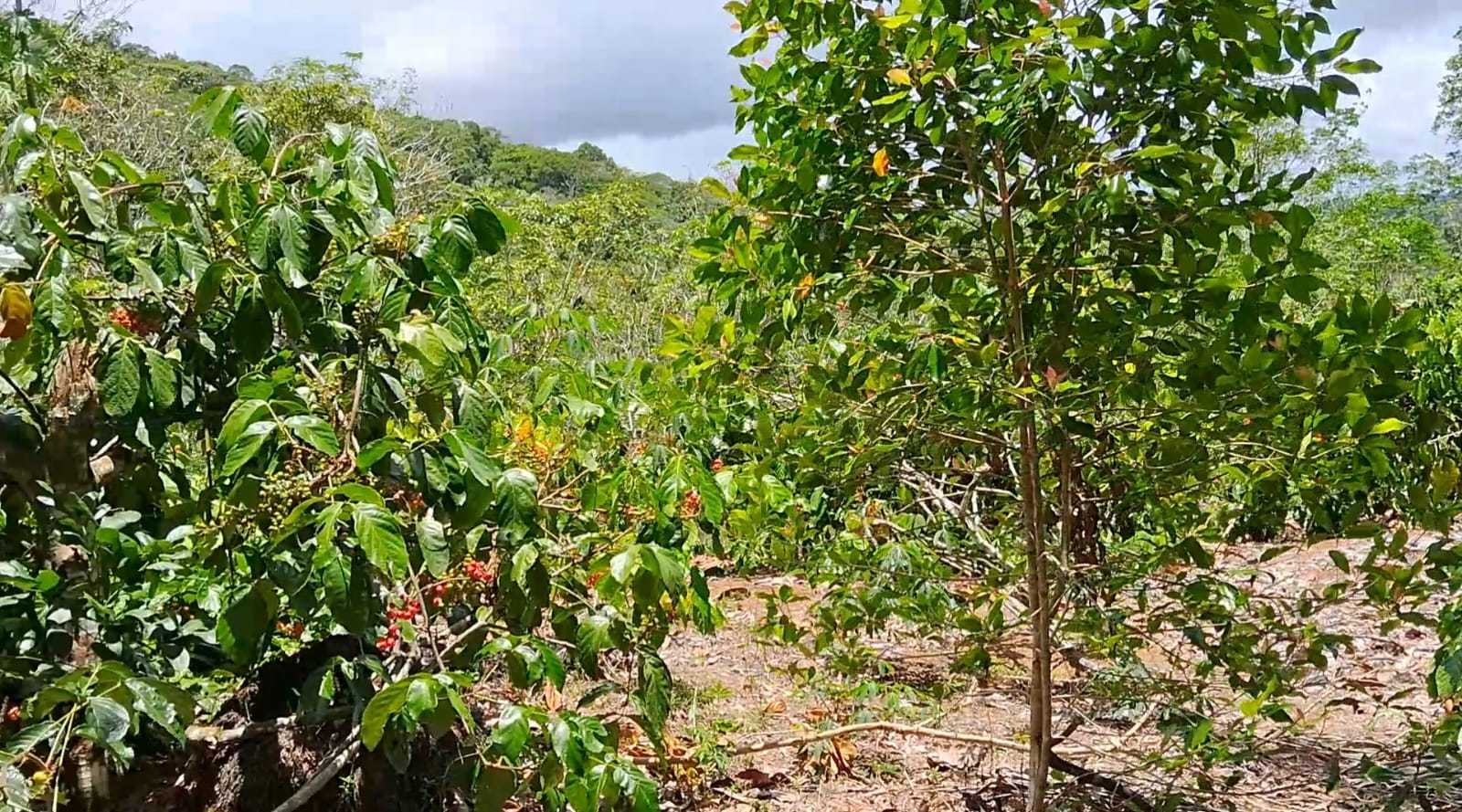 fe2dc583-13ef-420b-802b-2432d237a51b